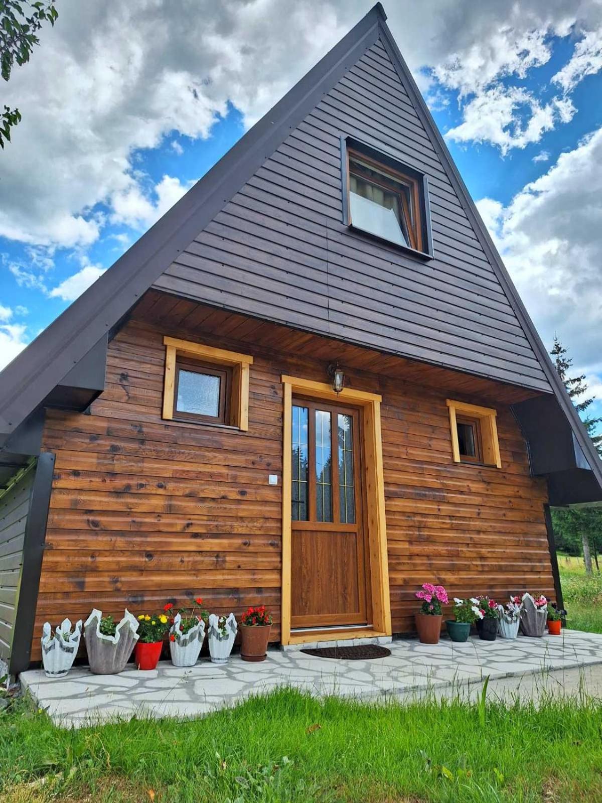 House Bojana Villa Žabljak Екстериор снимка